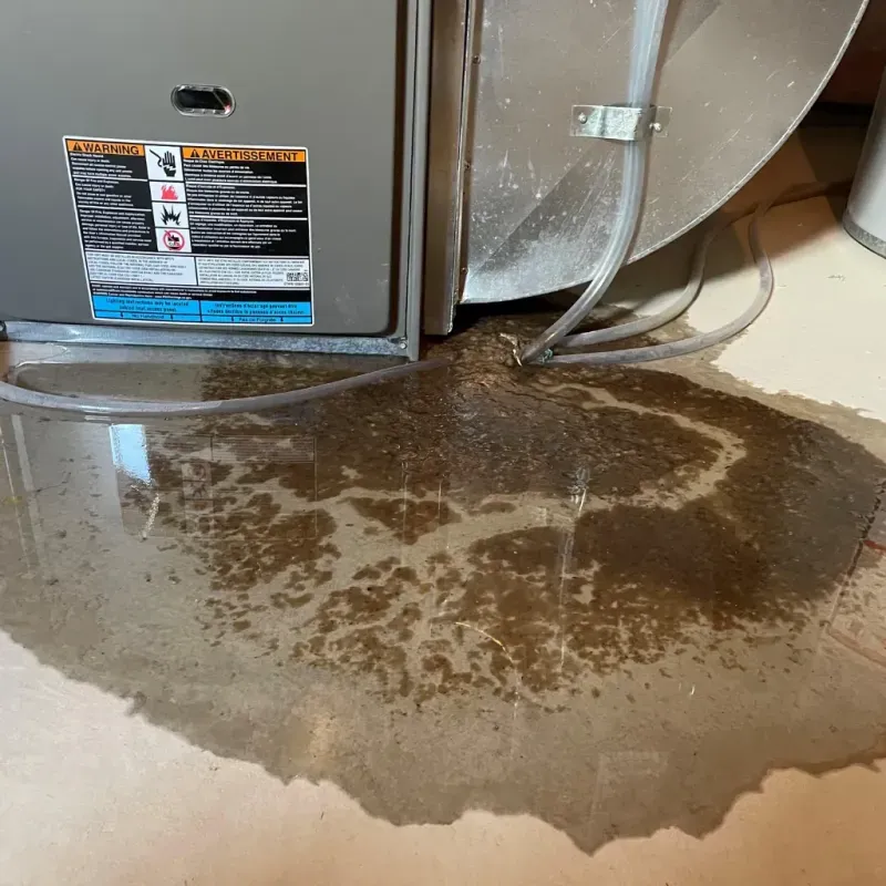 Appliance Leak Cleanup in Frazee, MN